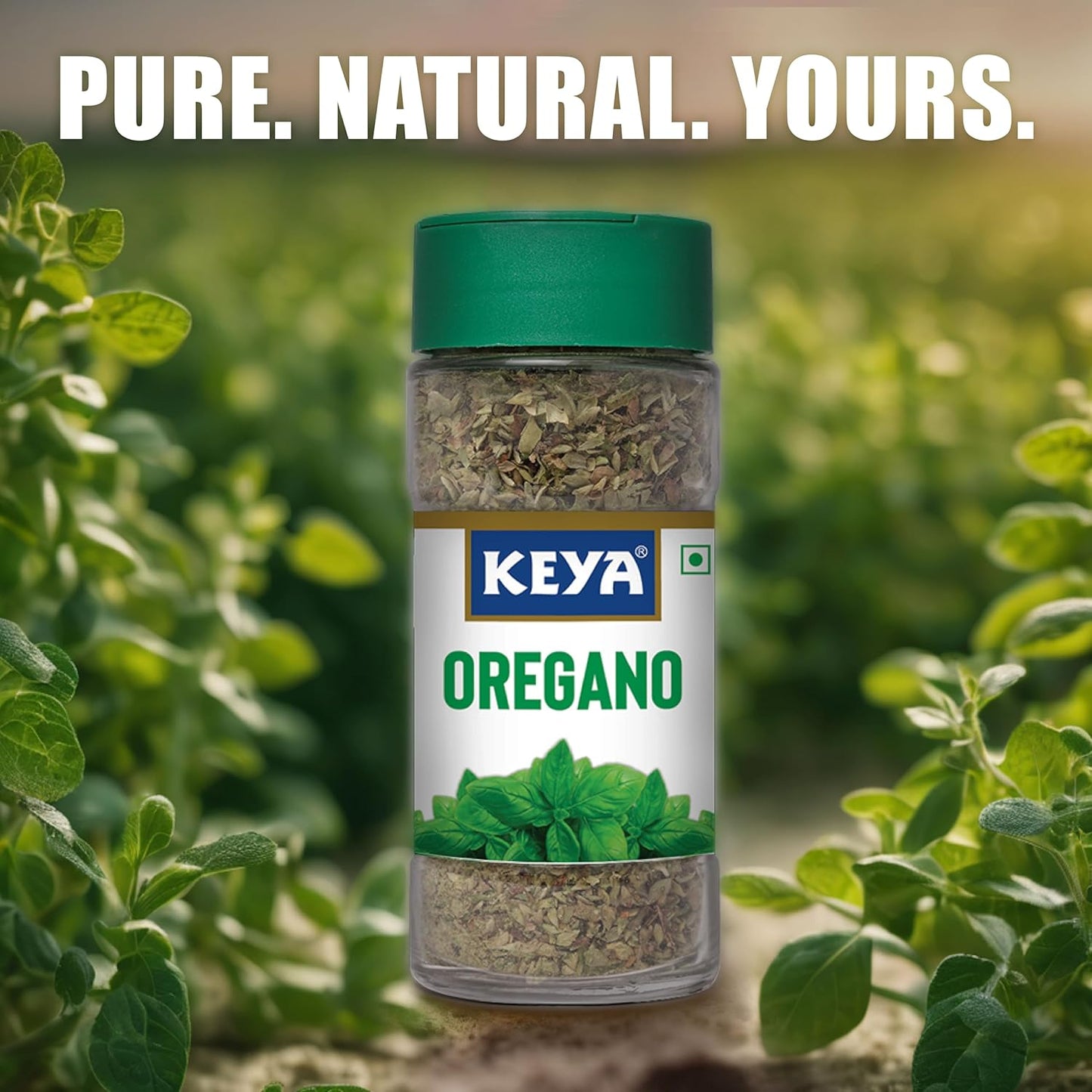 Keya Premium Herbs Combo| Keya Basil 12g, Keya Oregano 15g, Keya Mixed Herbs 23gm | Pack of 3